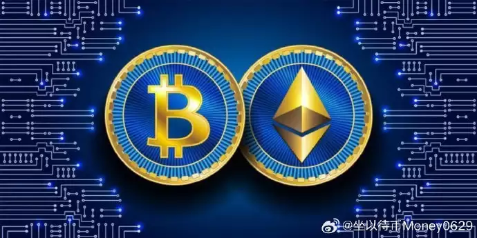 2026����ߣ��Ͷ�������̣��Ĳ�������Ĳ���