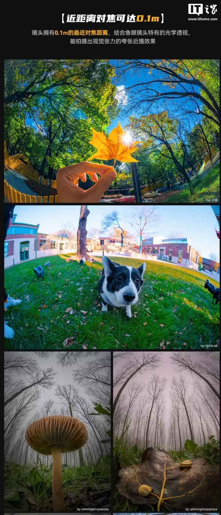 �߹��� MF 6mm f/2.0 �뻭���ֶ���ͷ���ۣ�1190 Ԫ��220° �����ӽ�