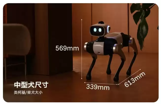 ȫ���׿�����ң�ص����ܻ�������ά����������ͷ BoBo������������