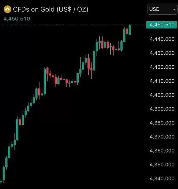 2025ʥ���ڱ��ر�����������������������Ƶ��ӣ�