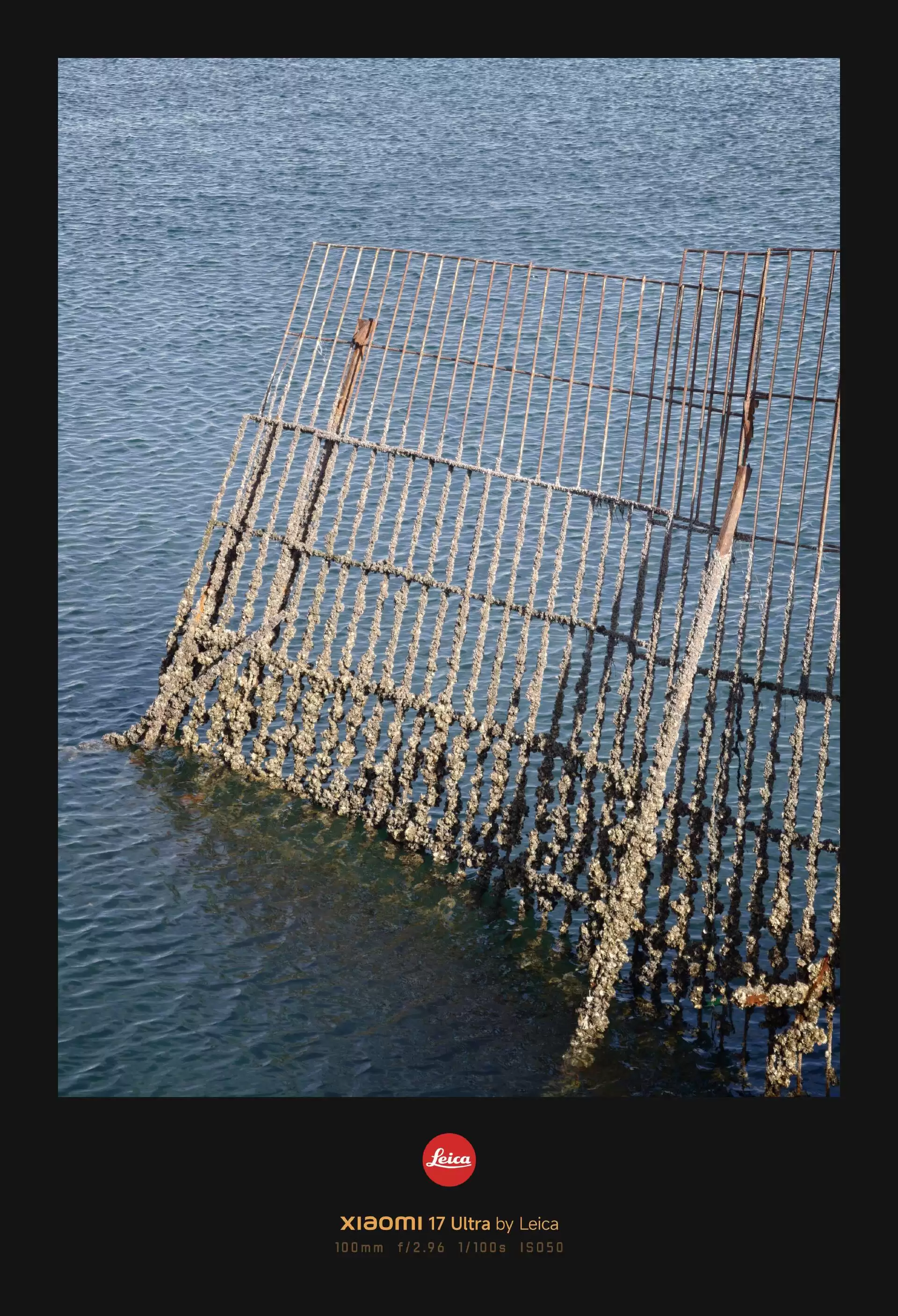 С�� 17 Ultra �⿨���ֻ����飺�����⿨����Ϊһ�����ݴ�