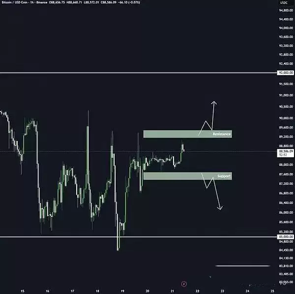 2025ʥ���ڱ��ر�����������������������Ƶ��ӣ�