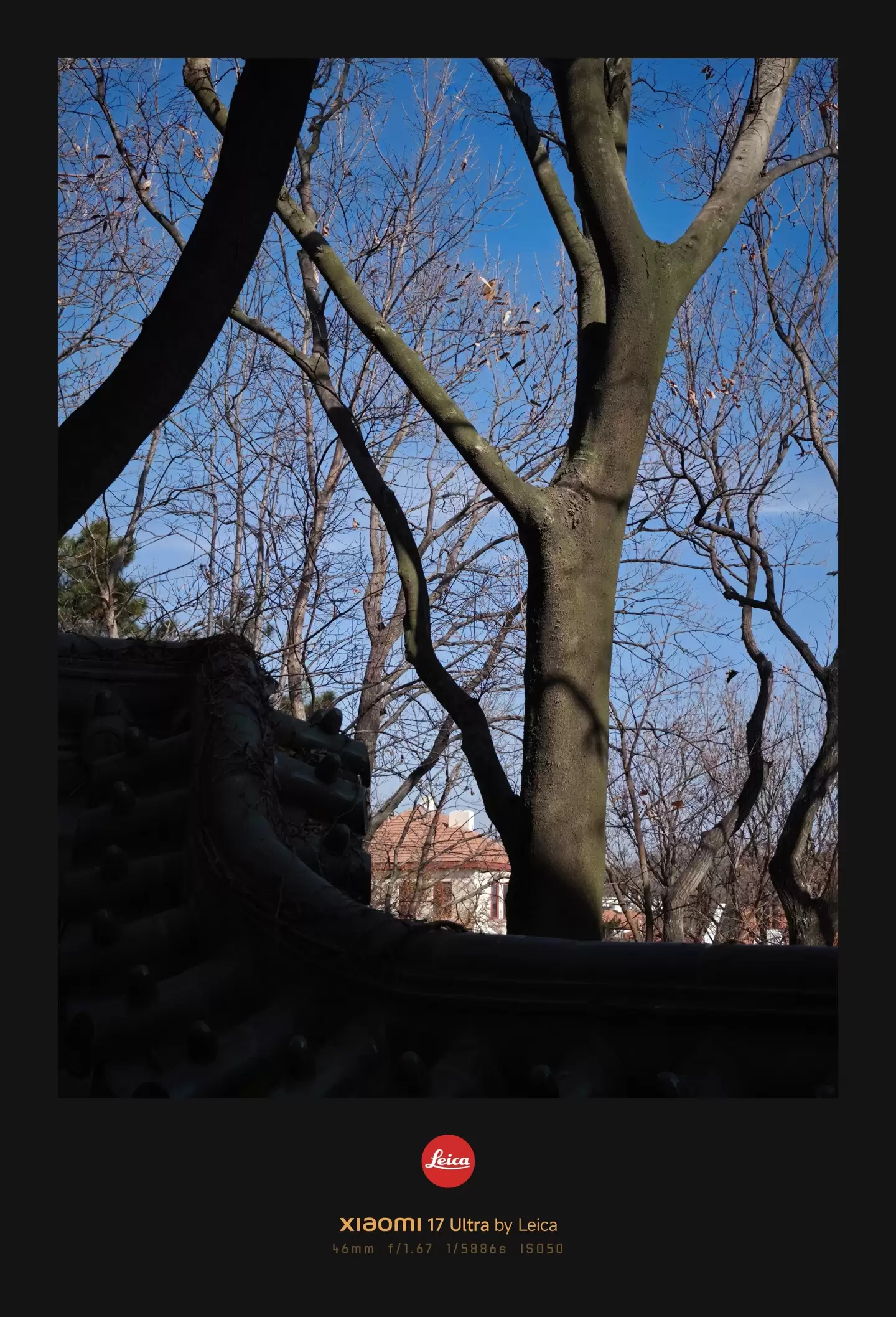 С�� 17 Ultra �⿨���ֻ����飺�����⿨����Ϊһ�����ݴ�