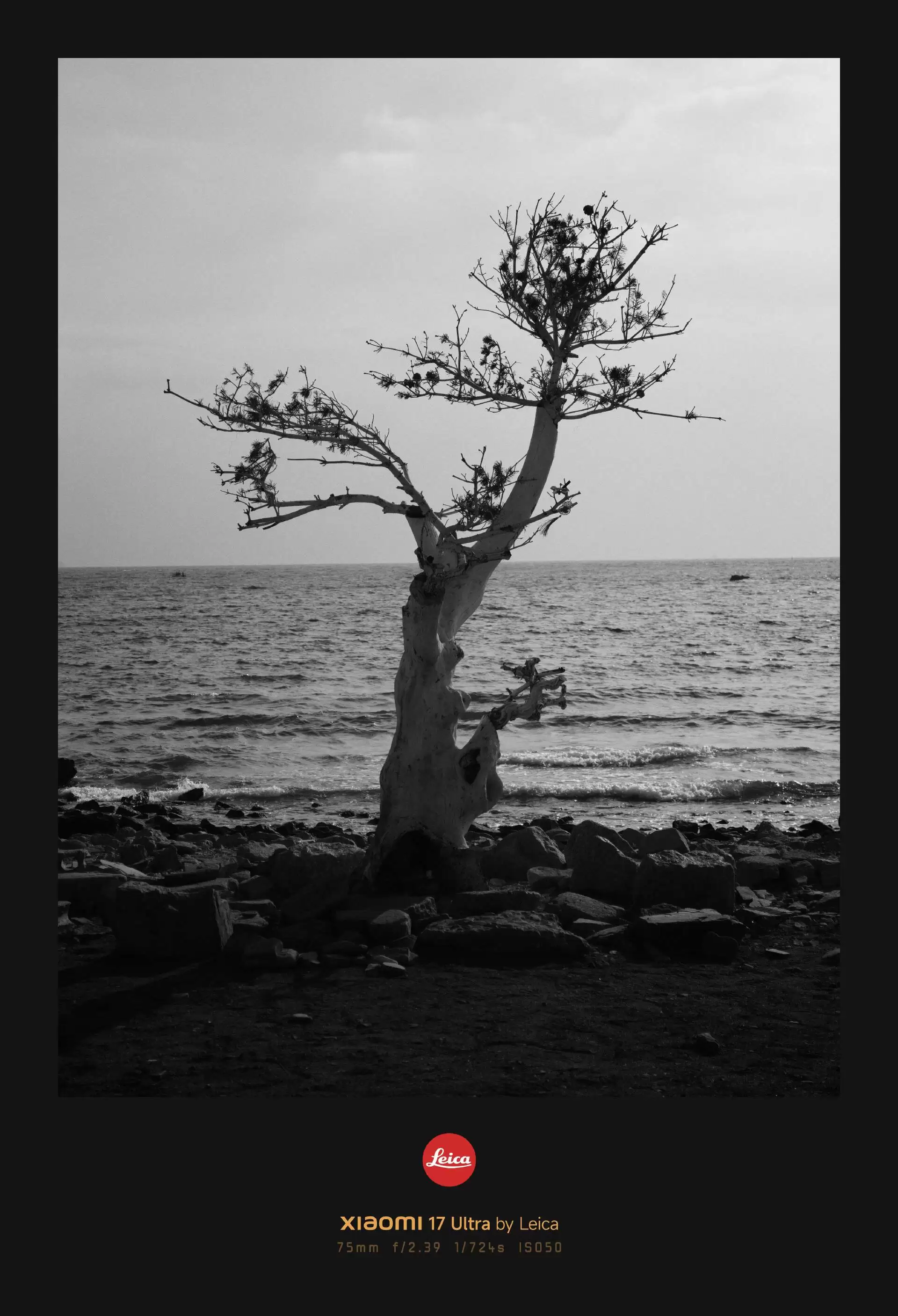 С�� 17 Ultra �⿨���ֻ����飺�����⿨����Ϊһ�����ݴ�