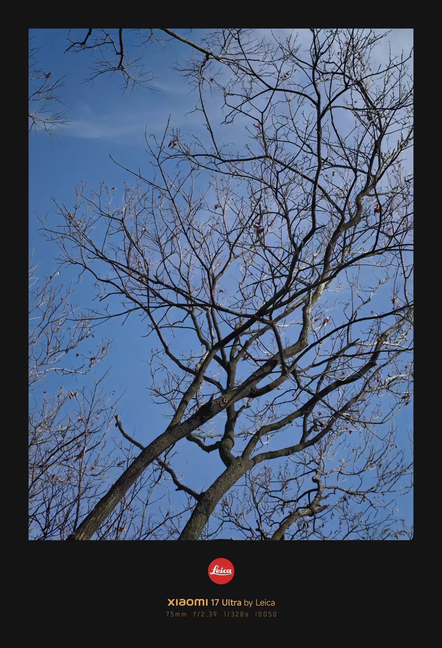 С�� 17 Ultra �⿨���ֻ����飺�����⿨����Ϊһ�����ݴ�