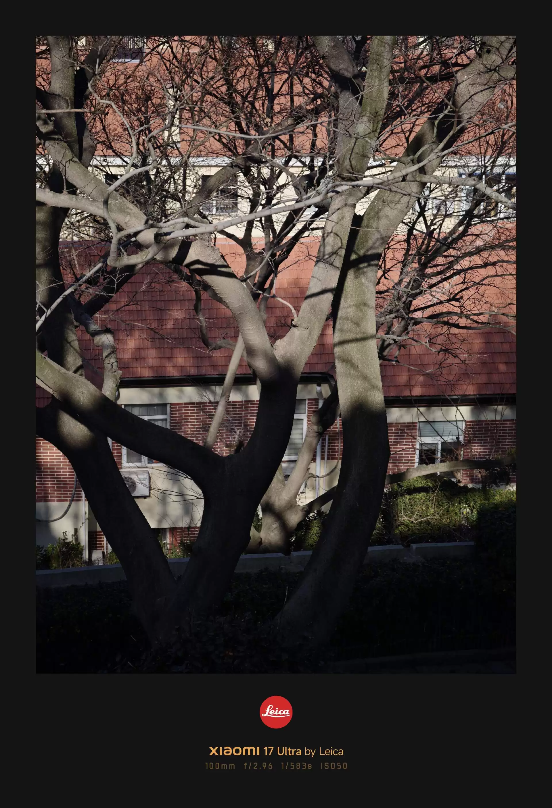 С�� 17 Ultra �⿨���ֻ����飺�����⿨����Ϊһ�����ݴ�