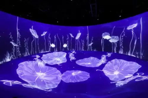 ��רҵ������ͶӰ�����ĸ�Ʒ�ƣ��Ϳ����ܹ���ͶӰ�ɿ��԰�