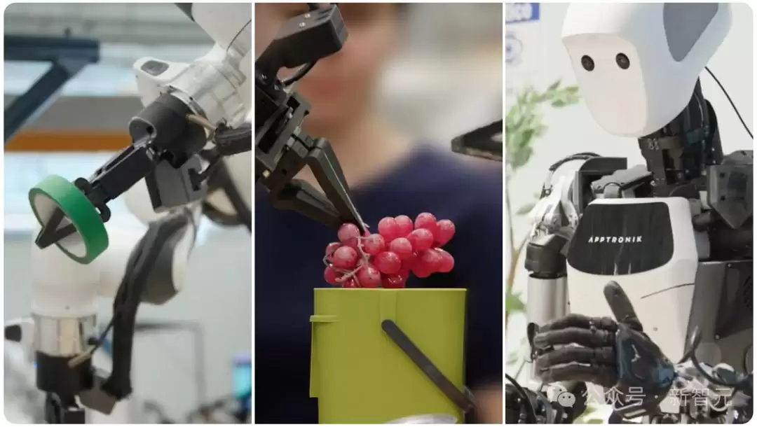 �ȸ� 2025������ˬ�ġ����֣�������ʱ�̵����߹���