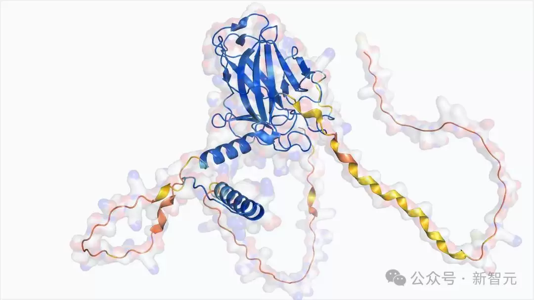 �ȸ� 2025������ˬ�ġ����֣�������ʱ�̵����߹���