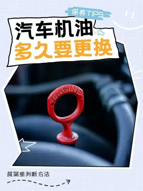 ���͸�������ȫ���������͡�·���뱣���������