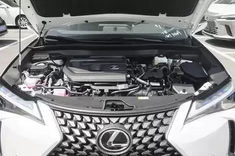 �׿���˹UX�춯���͵��ɢ�ȷ��ȴ���������