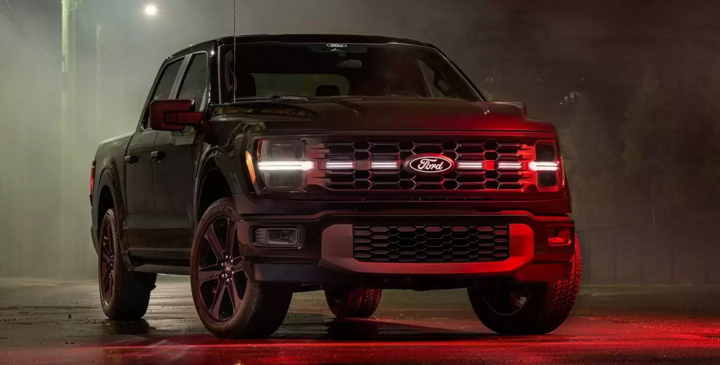 F ϵ��Ƥ���ɵ�����������������Ƴ�Զ����������������