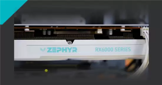 С���Կ�Ʒ�����������޺�������٢������Ϯ������