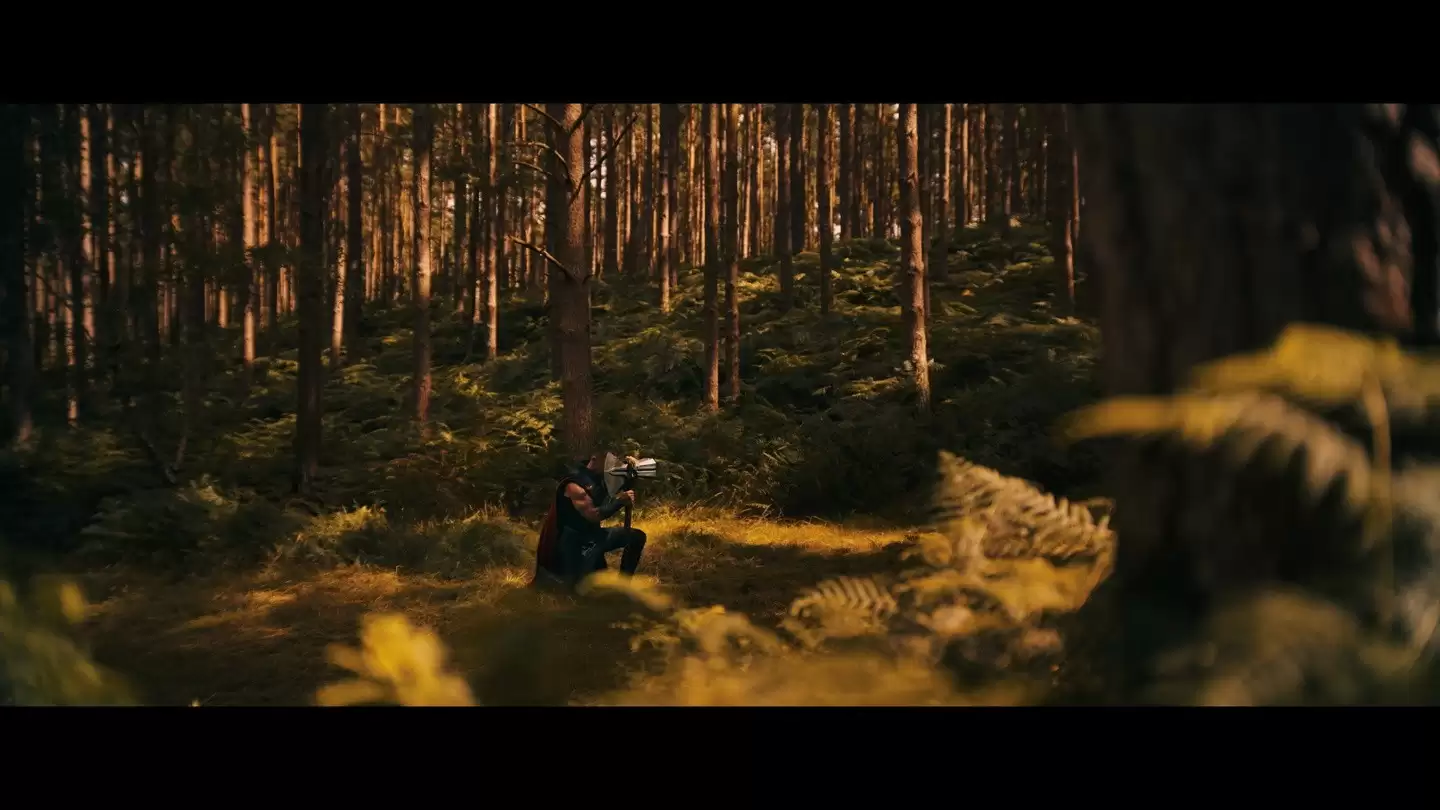 ����5Ԥ�淢��������ع顢�����������ʿ��2026��ս����