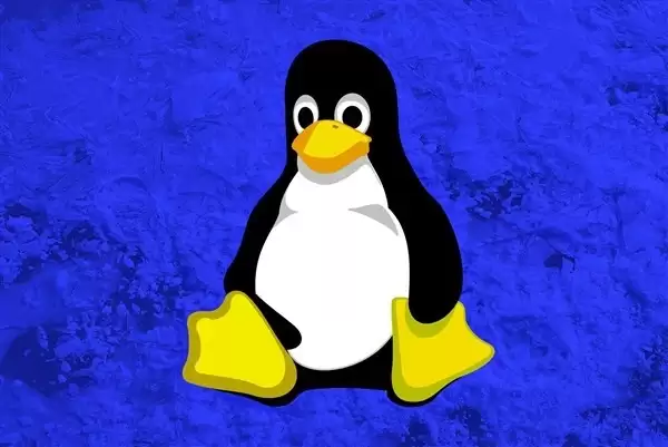 Linux�ں˽����뻺���֪���ȹ���