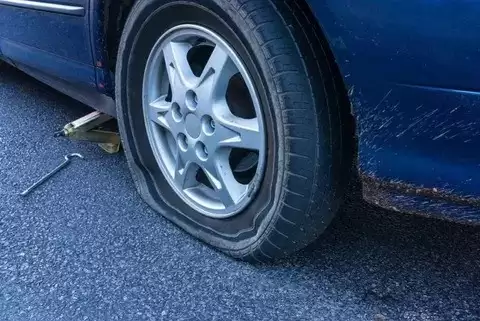 ��̥��Σ��αܣ���̥����ʱ��ȫ����