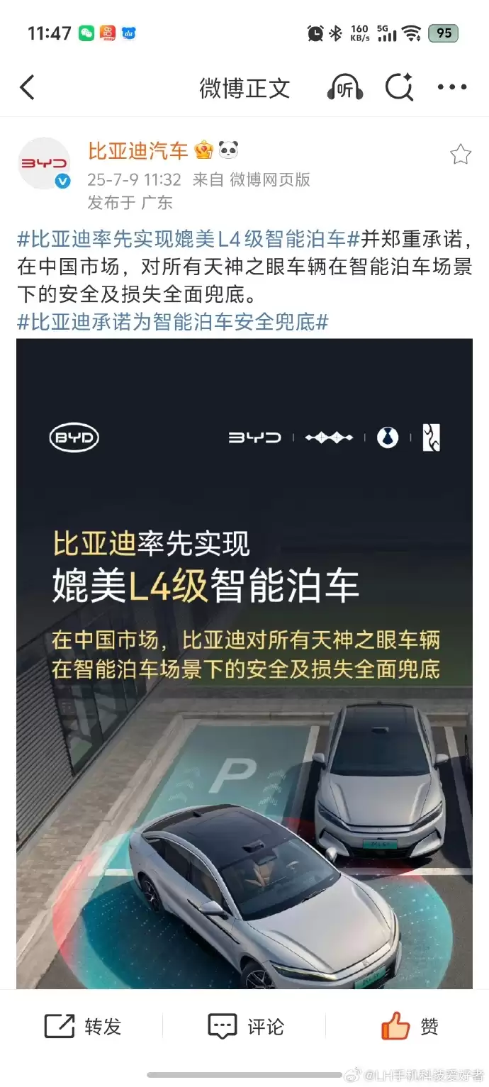 ���ǵ�2025��������ʻƽȨ Ϊʲôֻ�б��ǵ�������