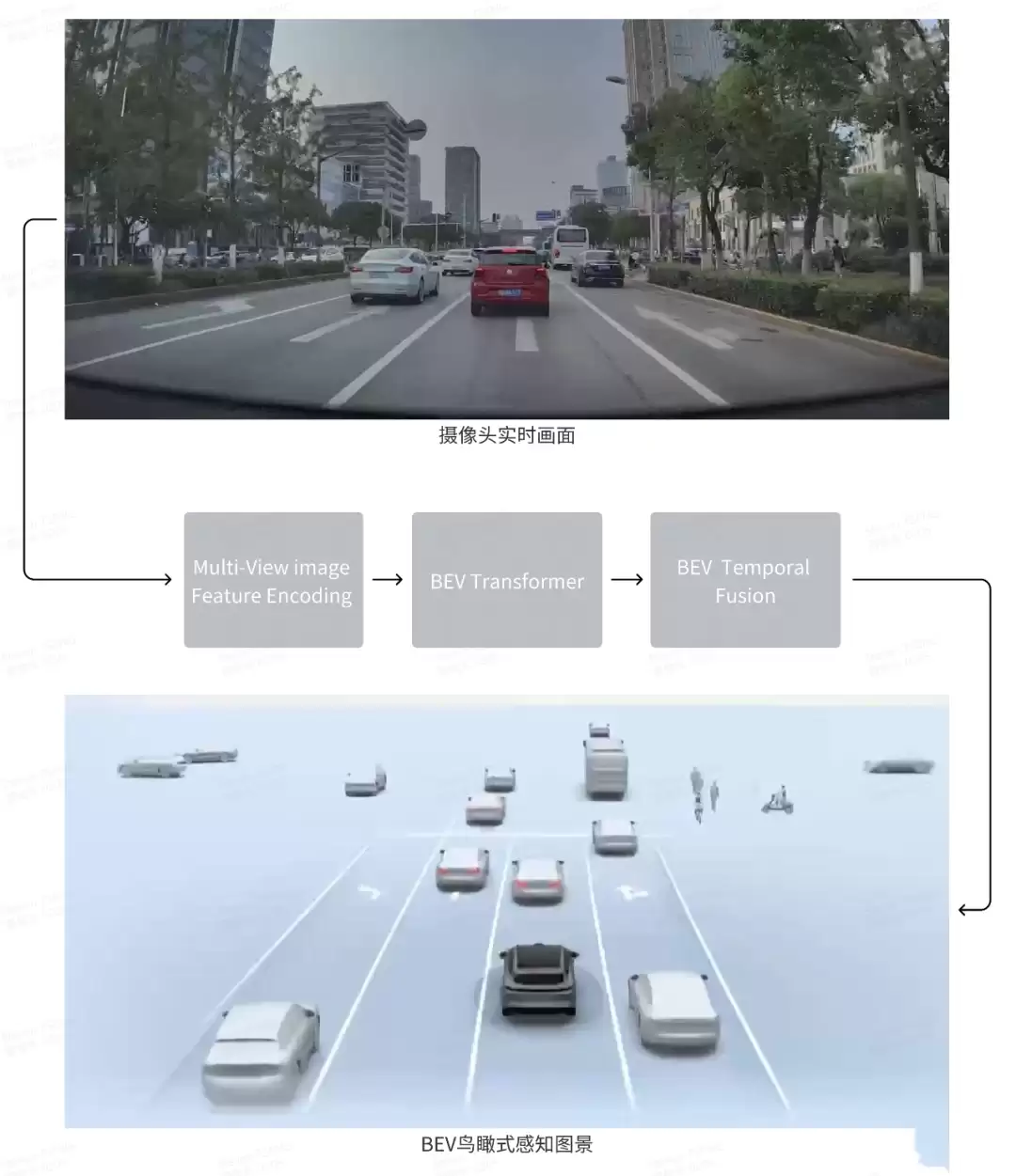 ���ǵ�2025��������ʻƽȨ Ϊʲôֻ�б��ǵ�������