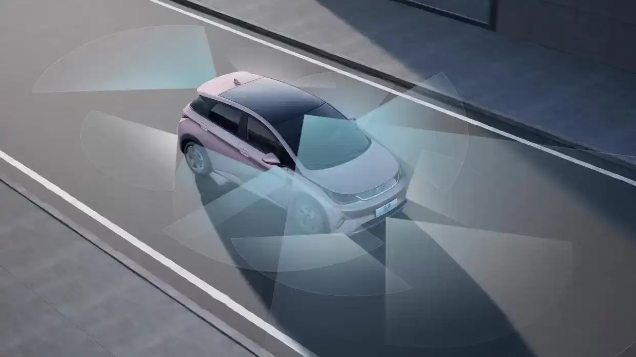 ���ǵ�2025��������ʻƽȨ Ϊʲôֻ�б��ǵ�������