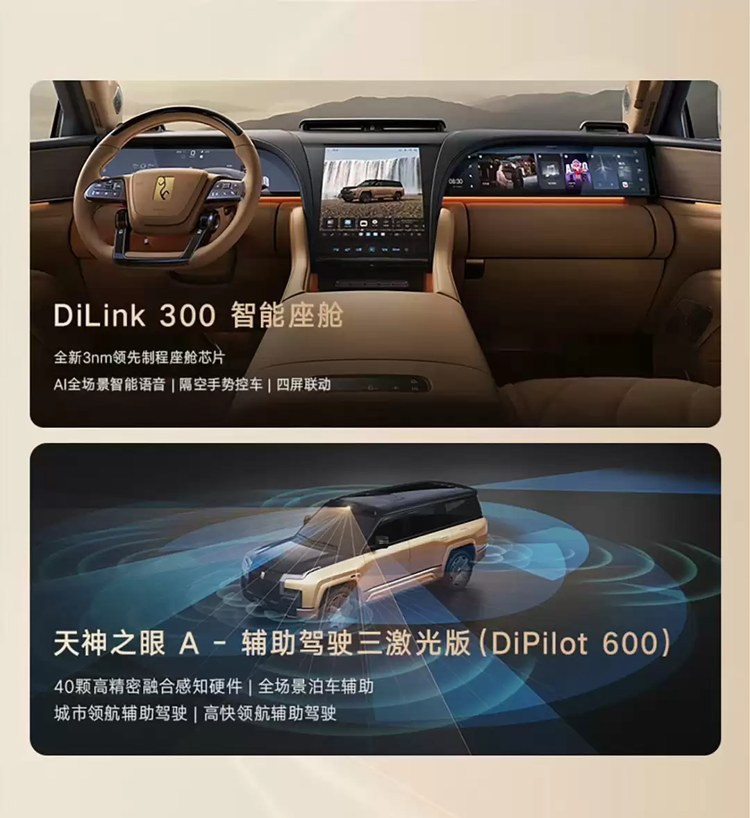 ���ǵ�2025��������ʻƽȨ Ϊʲôֻ�б��ǵ�������