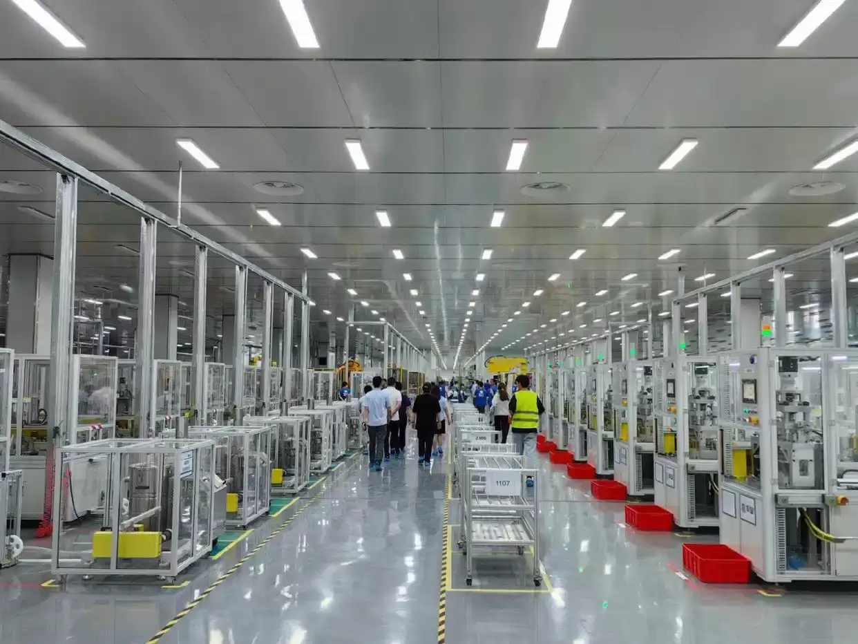 ���ǵ�2025��������ʻƽȨ Ϊʲôֻ�б��ǵ�������