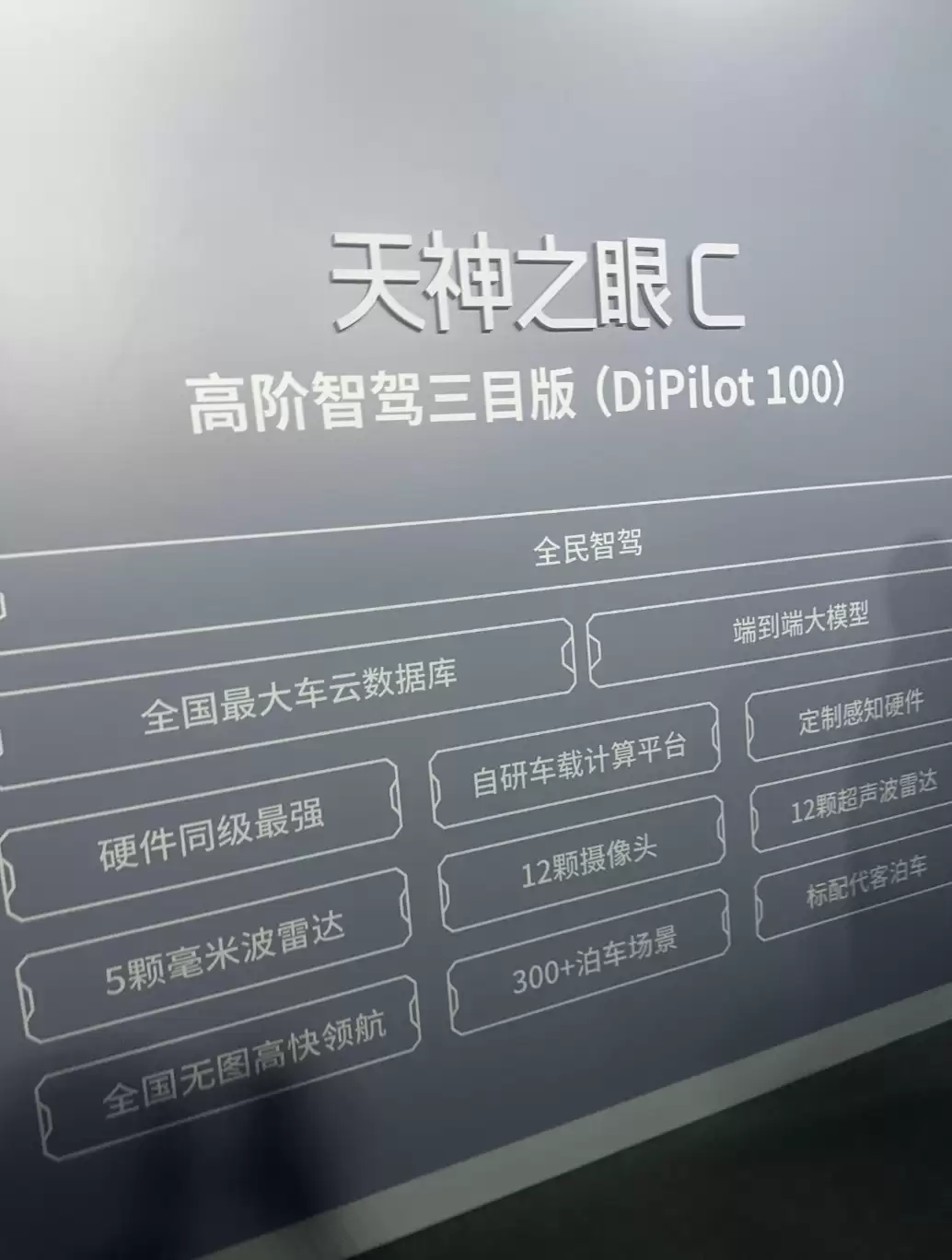 ���ǵ�2025��������ʻƽȨ Ϊʲôֻ�б��ǵ�������