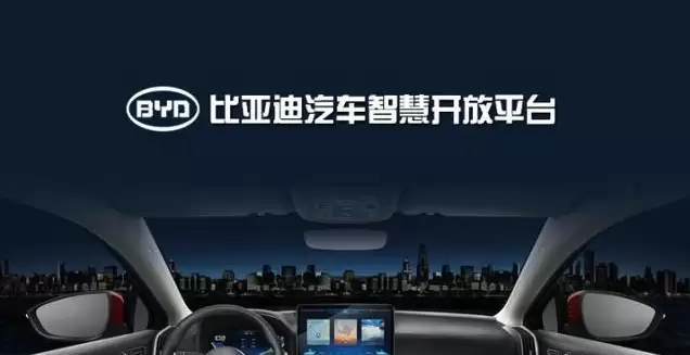 ���ǵ�2025��������ʻƽȨ Ϊʲôֻ�б��ǵ�������