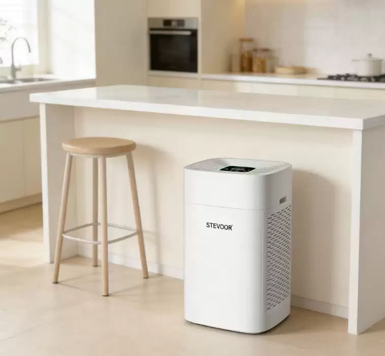 2026����������Ʒ�Ƴ�ȩ���ܷ�����ʮ��Ʒ�Ƴ���ʹ�óɱ��Ա�