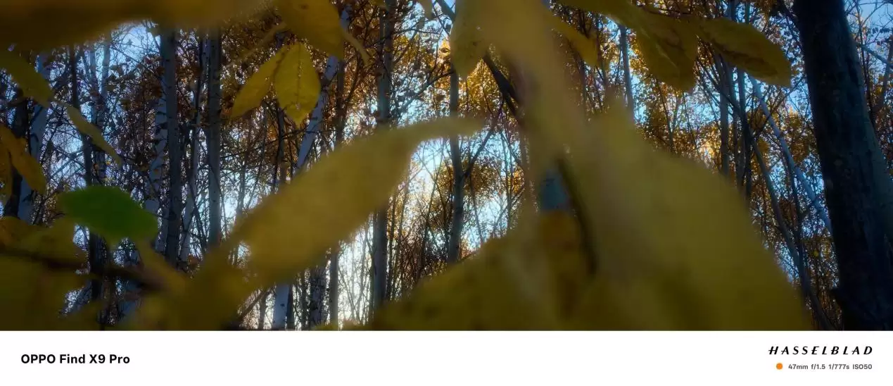 OPPO��2025��AI��������̤ʵ��