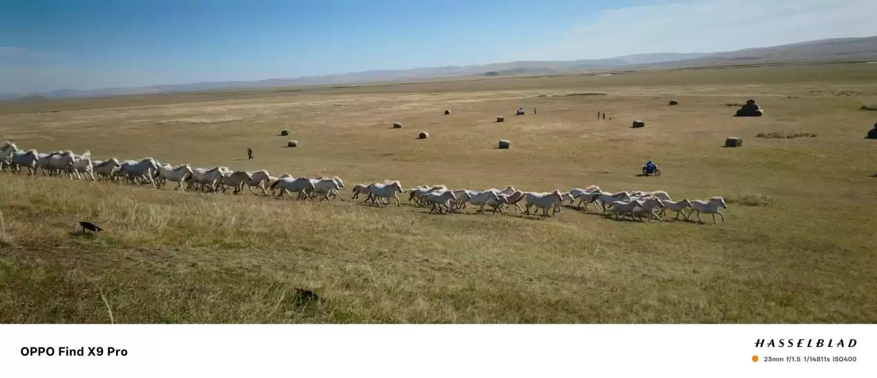 OPPO��2025��AI��������̤ʵ��