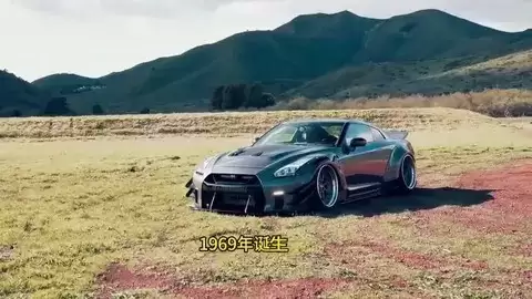 �ղ�GT-R��ƽ��֮����ս��֮�꣬ר�ΰ����ܵĶ�孴���