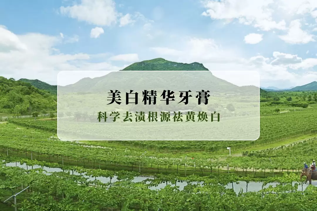 ���ݷ����԰�����2026�����׾���������� ��ѧȥ�ո�Դ��ƻ���