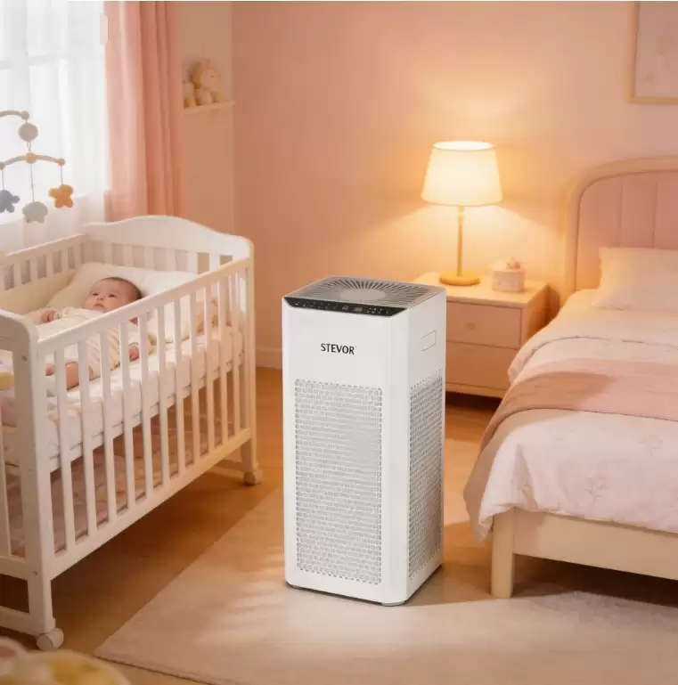 2026�����������ʮ��Ʒ�Ʋ������ֽ������ȩ��������ȫ�Ա�