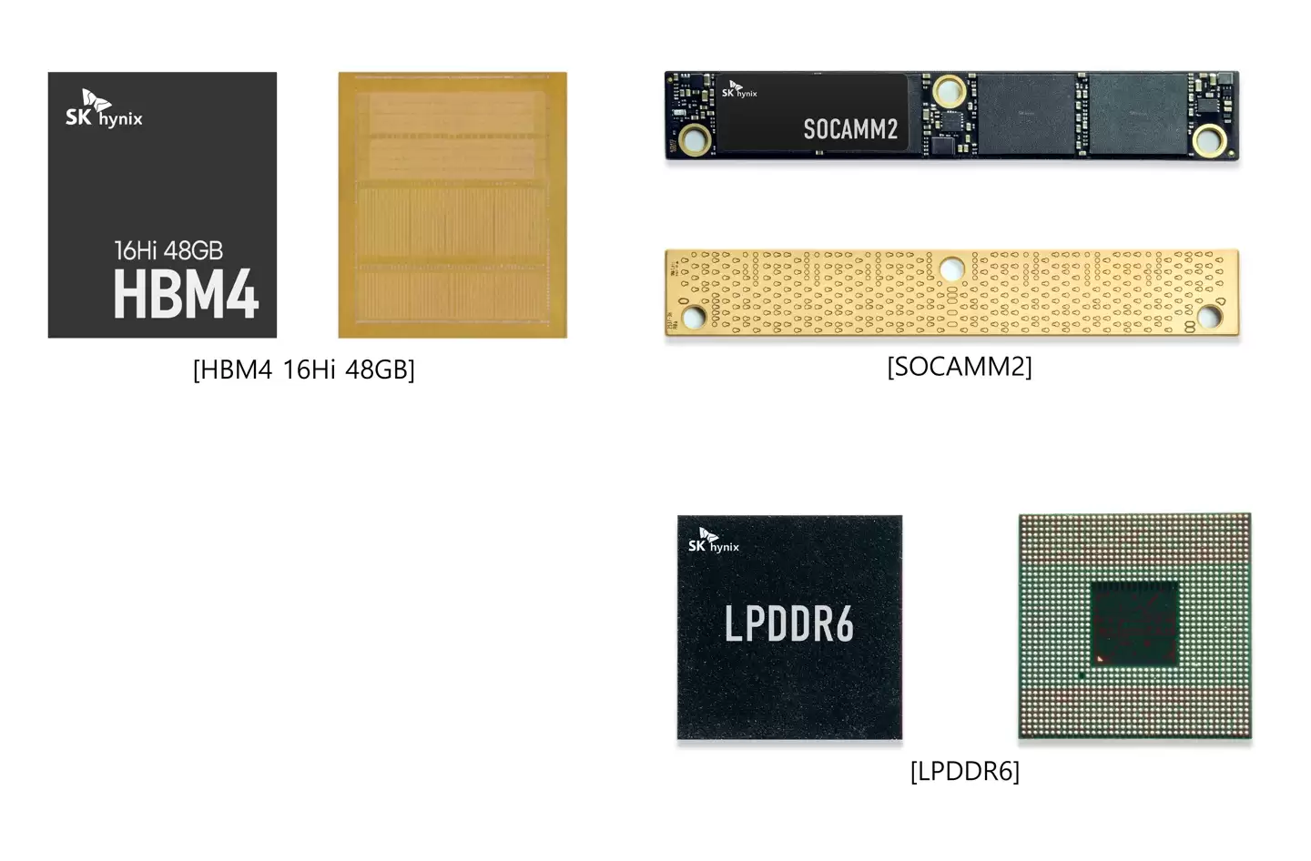 SK ����ʿԤ�� CES 2026 �ڼ��״�չʾ 16 �� 48GB HBM4