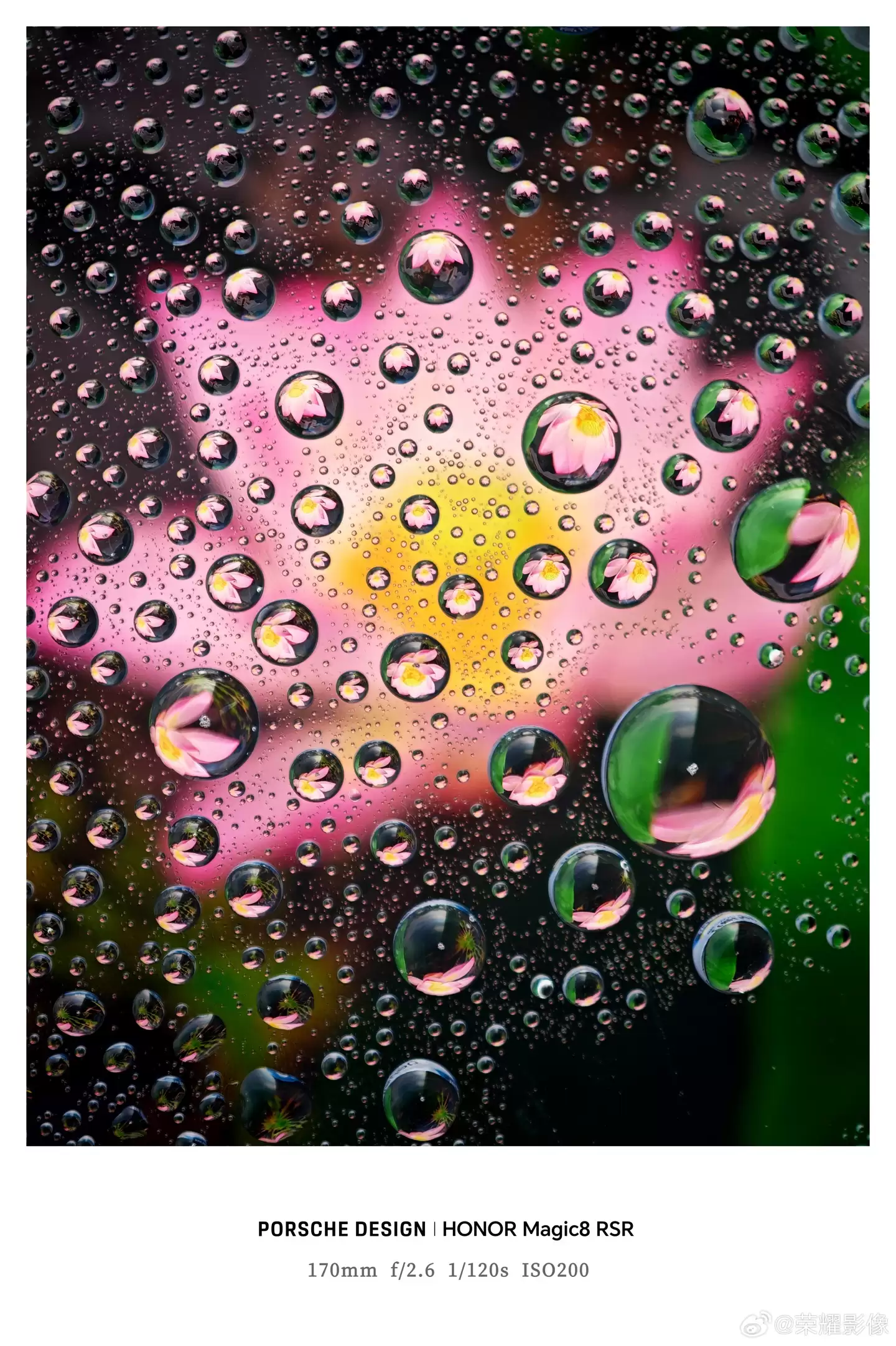 ����ǰ�������� 8 Elite Gen5 Ӱ�񳬴󱭣���ҫ Magic8 RSR ��ʱ������»��������Ź���