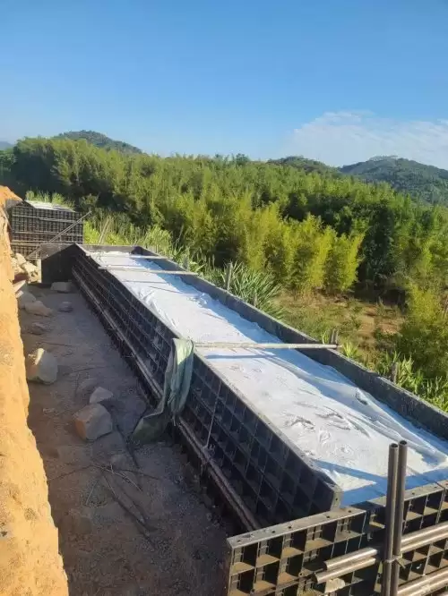 һ��ģ��ġ�̼��Ѱ֮·����ɭ�����ĵ�ѭ�����ã�  �й����ǡ�������ʩ����̬