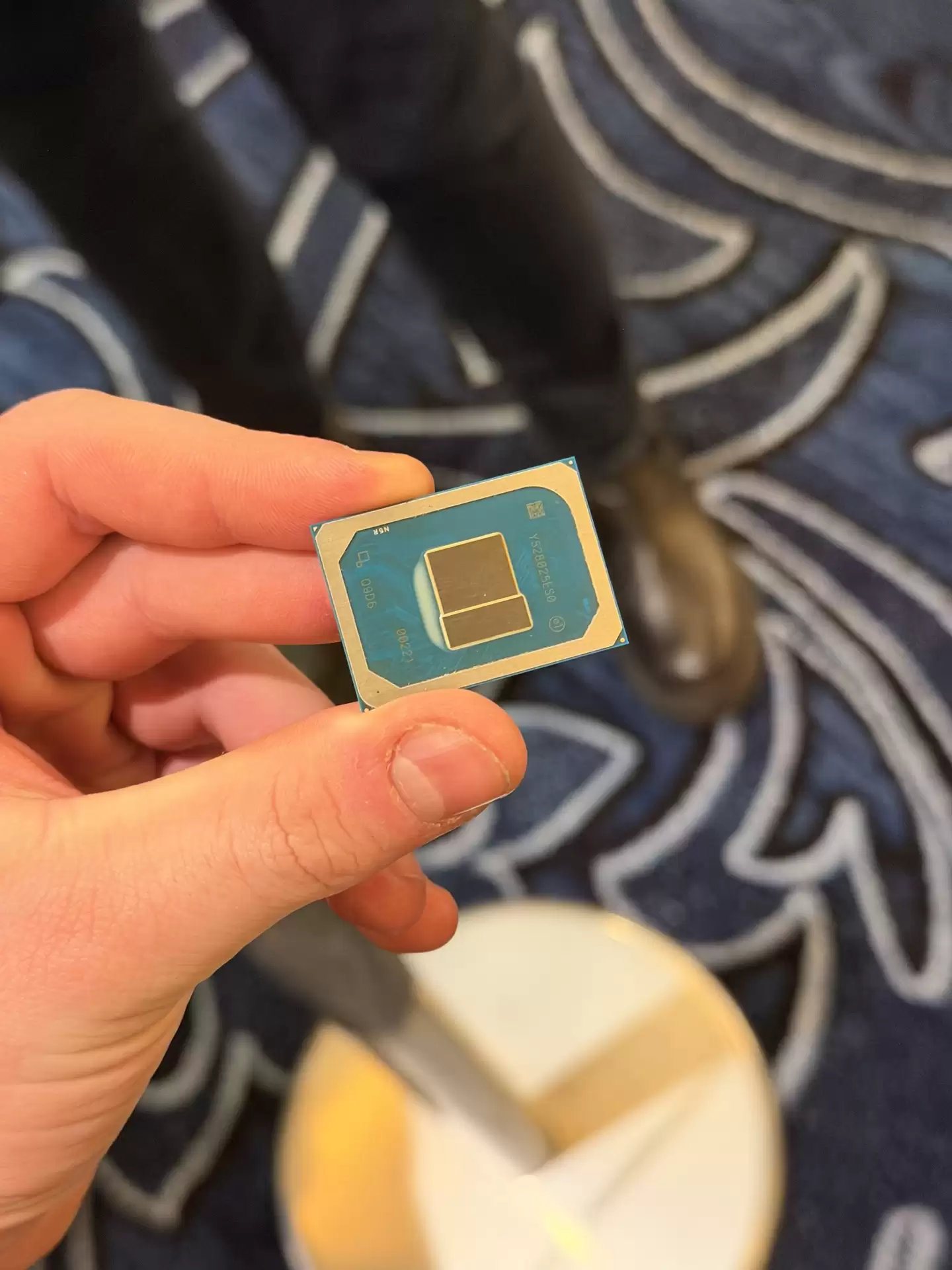 Ӣ�ض��Ƴ��������"Wildcat Lake"������ 6 ����