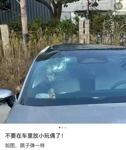 ����װ�ΰ���������С��ż���²�������