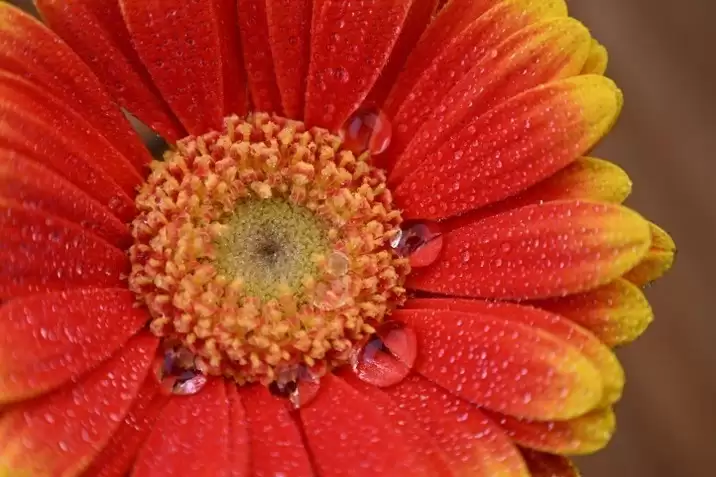 ����Ӧ�Զ�Ԫ����Ӱ����� ��˶� Z 24-105mm f/4-7.1��������Я��ͷ����