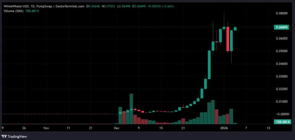 WHITEWHALE��ʲô���۸���������ս���