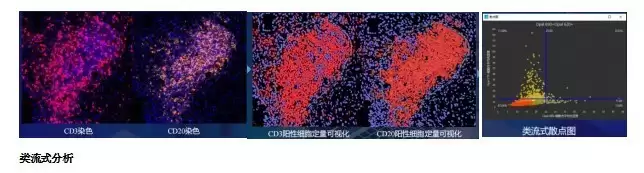 �㶫������Ƽ����޹�˾ ���� ���Ŀռ䵰����ѧһվʽ����ƽ̨