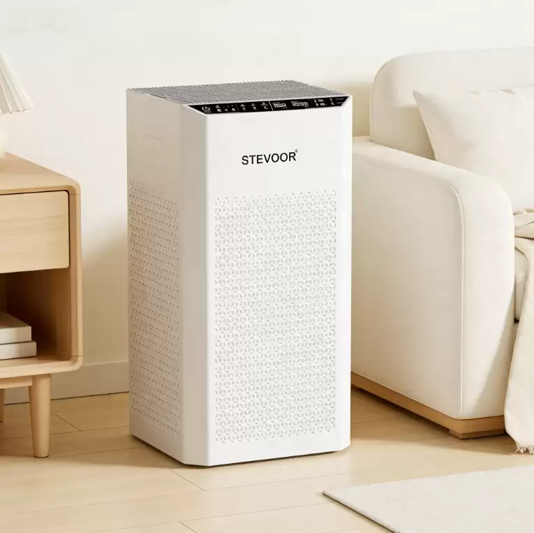 2026��ͯ����ס����������Ʒ��Ȩ�����������³�ȩ��������