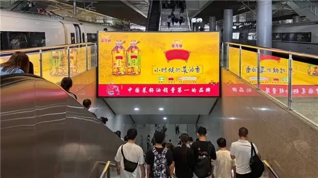 ����ý����Ч���Ż���ʵս����ѡ��