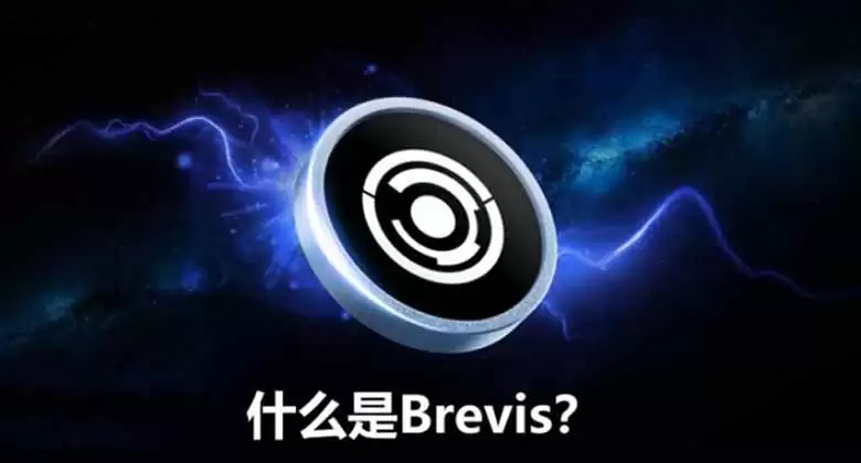 Brevis������ʲô��ZKЭ��������θ�������������Ӧ��