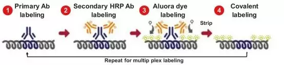 �㶫������Ƽ����޹�˾ ���� ���Ŀռ䵰����ѧһվʽ����ƽ̨