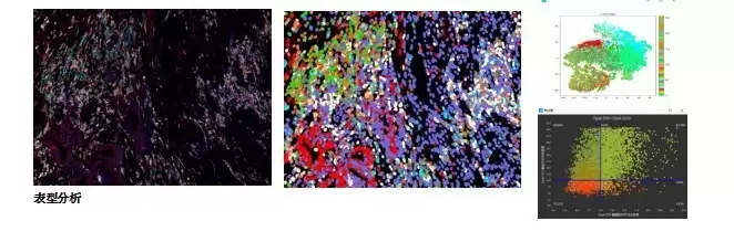 �㶫������Ƽ����޹�˾ ���� ���Ŀռ䵰����ѧһվʽ����ƽ̨