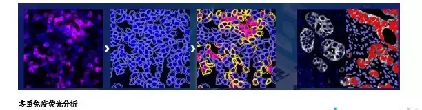 �㶫������Ƽ����޹�˾ ���� ���Ŀռ䵰����ѧһվʽ����ƽ̨