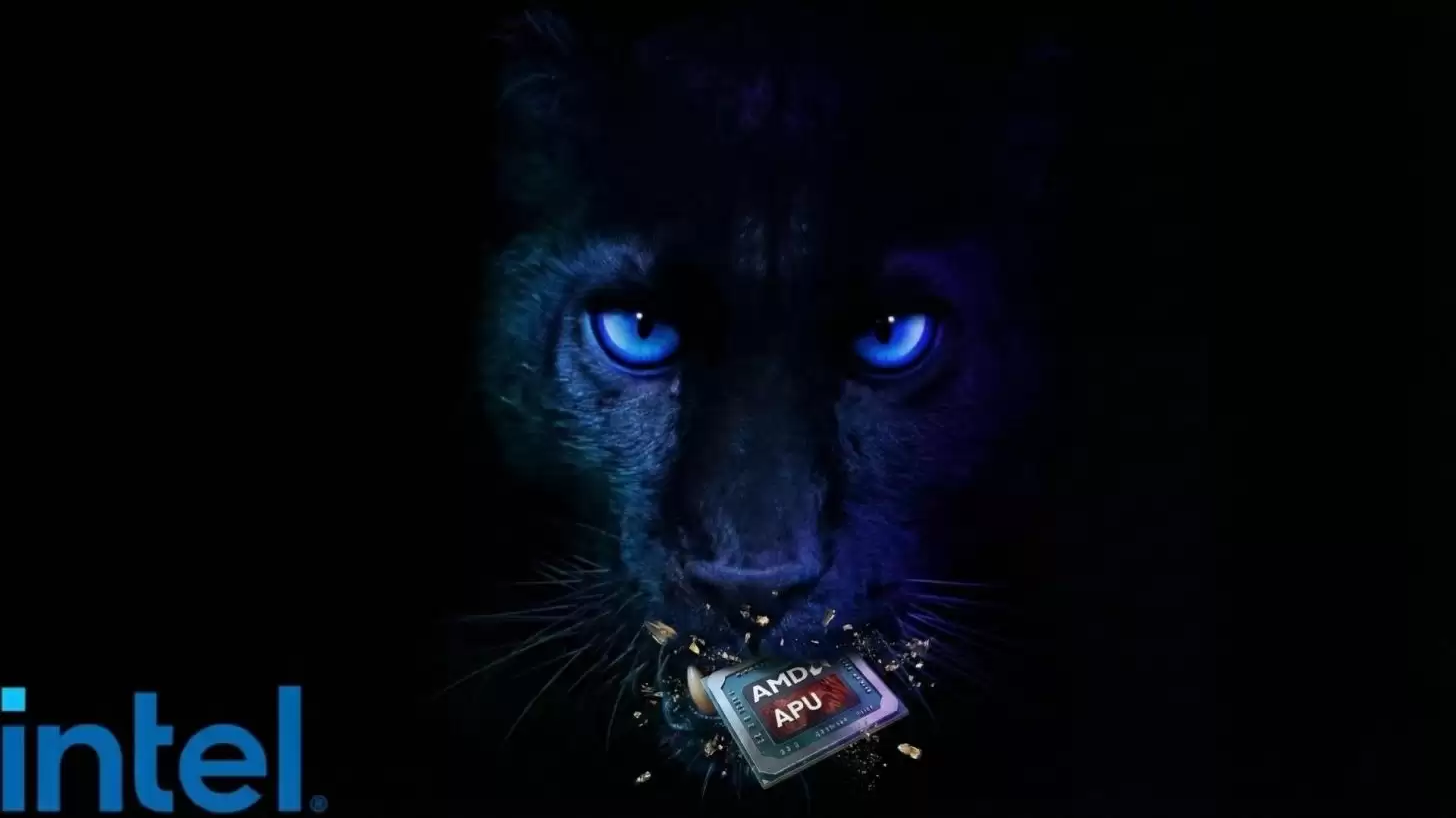 Ӣ�ض��߹ܿ��ڣ�AMD ���ƻ��г����Ķ��ǡ��ϹŶ���оƬ