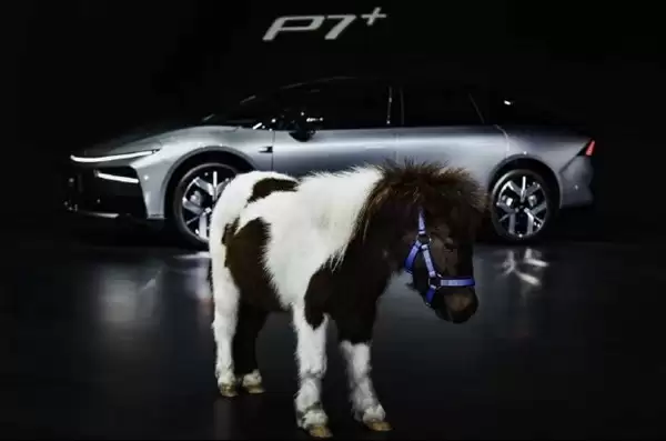 С��P7+ħ���㾪�޷������ռ����������д��ͽγ��±��