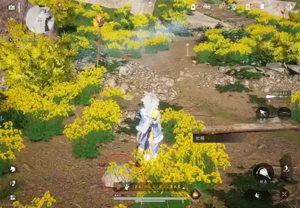 ����ʮ����̤��Ѱ�䳤�ϱ���λ��һ��